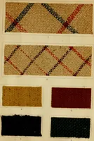 An illustration from The coal tar colours of Farbwerke vorm. Meister Lucius & Brüning : Hoechst on Main : and their application in dyeing cotton and other vegetable fibres (1907)