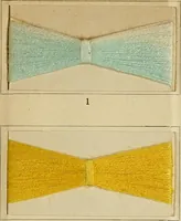 An illustration from The coal tar colours of Farbwerke vorm. Meister Lucius & Brüning : Hoechst on Main : and their application in dyeing cotton and other vegetable fibres (1907)