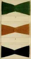 Picture 131 of 157 from The coal tar colours of Farbwerke vorm. Meister Lucius & Brüning : Hoechst on Main : and their application in dyeing cotton and other vegetable fibres (1907), leaf 110