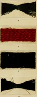 An illustration from The coal tar colours of Farbwerke vorm. Meister Lucius & Brüning : Hoechst on Main : and their application in dyeing cotton and other vegetable fibres (1907)