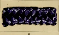 Picture 136 of 157 from The coal tar colours of Farbwerke vorm. Meister Lucius & Brüning : Hoechst on Main : and their application in dyeing cotton and other vegetable fibres (1907), leaf 114