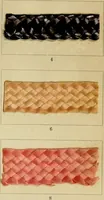 Picture 137 of 157 from The coal tar colours of Farbwerke vorm. Meister Lucius & Brüning : Hoechst on Main : and their application in dyeing cotton and other vegetable fibres (1907), leaf 114