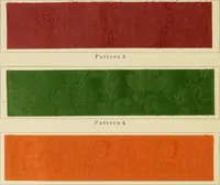 Picture 157 of 157 from The coal tar colours of Farbwerke vorm. Meister Lucius & Brüning : Hoechst on Main : and their application in dyeing cotton and other vegetable fibres (1907), leaf 149