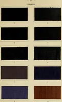 Picture 1 of 157 from The coal tar colours of Farbwerke vorm. Meister Lucius & Brüning : Hoechst on Main : and their application in dyeing cotton and other vegetable fibres (1907), leaf 24