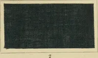 Picture 3 of 157 from The coal tar colours of Farbwerke vorm. Meister Lucius & Brüning : Hoechst on Main : and their application in dyeing cotton and other vegetable fibres (1907), leaf 28