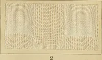 Picture 7 of 157 from The coal tar colours of Farbwerke vorm. Meister Lucius & Brüning : Hoechst on Main : and their application in dyeing cotton and other vegetable fibres (1907), leaf 32
