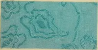 An illustration from The coal tar colours of Farbwerke vorm. Meister Lucius & Brüning : Hoechst on Main : and their application in dyeing cotton and other vegetable fibres (1907)