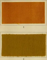 Picture 10 of 157 from The coal tar colours of Farbwerke vorm. Meister Lucius & Brüning : Hoechst on Main : and their application in dyeing cotton and other vegetable fibres (1907), leaf 34