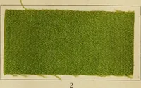Picture 11 of 157 from The coal tar colours of Farbwerke vorm. Meister Lucius & Brüning : Hoechst on Main : and their application in dyeing cotton and other vegetable fibres (1907), leaf 34