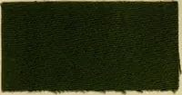 Picture 12 of 157 from The coal tar colours of Farbwerke vorm. Meister Lucius & Brüning : Hoechst on Main : and their application in dyeing cotton and other vegetable fibres (1907), leaf 34