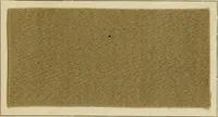 An illustration from The coal tar colours of Farbwerke vorm. Meister Lucius & Brüning : Hoechst on Main : and their application in dyeing cotton and other vegetable fibres (1907)
