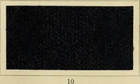 Picture 15 of 157 from The coal tar colours of Farbwerke vorm. Meister Lucius & Brüning : Hoechst on Main : and their application in dyeing cotton and other vegetable fibres (1907), leaf 34