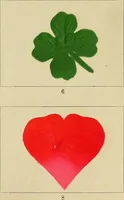 Picture 16 of 157 from The coal tar colours of Farbwerke vorm. Meister Lucius & Brüning : Hoechst on Main : and their application in dyeing cotton and other vegetable fibres (1907), leaf 36