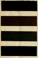 An illustration from The coal tar colours of Farbwerke vorm. Meister Lucius & Brüning : Hoechst on Main : and their application in dyeing cotton and other vegetable fibres (1907)