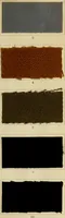 An illustration from The coal tar colours of Farbwerke vorm. Meister Lucius & Brüning : Hoechst on Main : and their application in dyeing cotton and other vegetable fibres (1907)