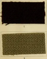 An illustration from The coal tar colours of Farbwerke vorm. Meister Lucius & Brüning : Hoechst on Main : and their application in dyeing cotton and other vegetable fibres (1907)