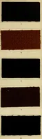Picture 22 of 157 from The coal tar colours of Farbwerke vorm. Meister Lucius & Brüning : Hoechst on Main : and their application in dyeing cotton and other vegetable fibres (1907), leaf 44