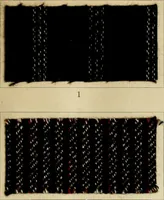 Picture 23 of 157 from The coal tar colours of Farbwerke vorm. Meister Lucius & Brüning : Hoechst on Main : and their application in dyeing cotton and other vegetable fibres (1907), leaf 46