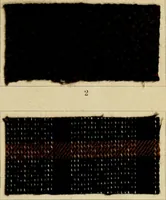 An illustration from The coal tar colours of Farbwerke vorm. Meister Lucius & Brüning : Hoechst on Main : and their application in dyeing cotton and other vegetable fibres (1907)