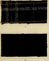 An illustration from The coal tar colours of Farbwerke vorm. Meister Lucius & Brüning : Hoechst on Main : and their application in dyeing cotton and other vegetable fibres (1907)