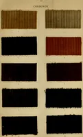 Picture 28 of 157 from The coal tar colours of Farbwerke vorm. Meister Lucius & Brüning : Hoechst on Main : and their application in dyeing cotton and other vegetable fibres (1907), leaf 48