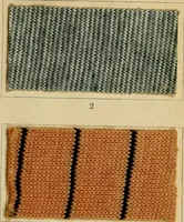 An illustration from The coal tar colours of Farbwerke vorm. Meister Lucius & Brüning : Hoechst on Main : and their application in dyeing cotton and other vegetable fibres (1907)