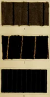 An illustration from The coal tar colours of Farbwerke vorm. Meister Lucius & Brüning : Hoechst on Main : and their application in dyeing cotton and other vegetable fibres (1907)