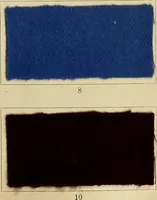 An illustration from The coal tar colours of Farbwerke vorm. Meister Lucius & Brüning : Hoechst on Main : and their application in dyeing cotton and other vegetable fibres (1907)