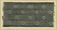An illustration from The coal tar colours of Farbwerke vorm. Meister Lucius & Brüning : Hoechst on Main : and their application in dyeing cotton and other vegetable fibres (1907)