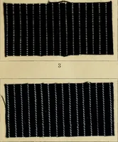 Picture 44 of 157 from The coal tar colours of Farbwerke vorm. Meister Lucius & Brüning : Hoechst on Main : and their application in dyeing cotton and other vegetable fibres (1907), leaf 62