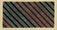An illustration from The coal tar colours of Farbwerke vorm. Meister Lucius & Brüning : Hoechst on Main : and their application in dyeing cotton and other vegetable fibres (1907)