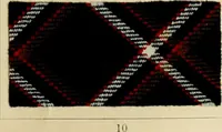 Picture 57 of 157 from The coal tar colours of Farbwerke vorm. Meister Lucius & Brüning : Hoechst on Main : and their application in dyeing cotton and other vegetable fibres (1907), leaf 64
