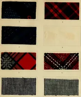 Picture 63 of 157 from The coal tar colours of Farbwerke vorm. Meister Lucius & Brüning : Hoechst on Main : and their application in dyeing cotton and other vegetable fibres (1907), leaf 70