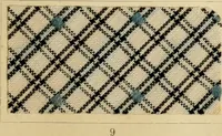 Picture 66 of 157 from The coal tar colours of Farbwerke vorm. Meister Lucius & Brüning : Hoechst on Main : and their application in dyeing cotton and other vegetable fibres (1907), leaf 72