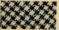 An illustration from The coal tar colours of Farbwerke vorm. Meister Lucius & Brüning : Hoechst on Main : and their application in dyeing cotton and other vegetable fibres (1907)