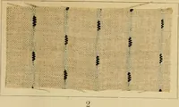Picture 69 of 157 from The coal tar colours of Farbwerke vorm. Meister Lucius & Brüning : Hoechst on Main : and their application in dyeing cotton and other vegetable fibres (1907), leaf 72