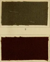 An illustration from The coal tar colours of Farbwerke vorm. Meister Lucius & Brüning : Hoechst on Main : and their application in dyeing cotton and other vegetable fibres (1907)