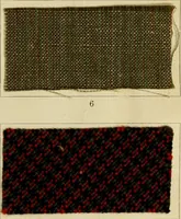 An illustration from The coal tar colours of Farbwerke vorm. Meister Lucius & Brüning : Hoechst on Main : and their application in dyeing cotton and other vegetable fibres (1907)