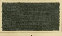 Picture 78 of 157 from The coal tar colours of Farbwerke vorm. Meister Lucius & Brüning : Hoechst on Main : and their application in dyeing cotton and other vegetable fibres (1907), leaf 76