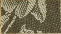 An illustration from The coal tar colours of Farbwerke vorm. Meister Lucius & Brüning : Hoechst on Main : and their application in dyeing cotton and other vegetable fibres (1907)