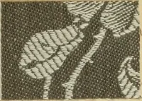 An illustration from The coal tar colours of Farbwerke vorm. Meister Lucius & Brüning : Hoechst on Main : and their application in dyeing cotton and other vegetable fibres (1907)