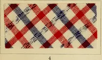 Picture 96 of 157 from The coal tar colours of Farbwerke vorm. Meister Lucius & Brüning : Hoechst on Main : and their application in dyeing cotton and other vegetable fibres (1907), leaf 86