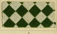 Picture 100 of 157 from The coal tar colours of Farbwerke vorm. Meister Lucius & Brüning : Hoechst on Main : and their application in dyeing cotton and other vegetable fibres (1907), leaf 88