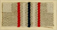 Picture 101 of 157 from The coal tar colours of Farbwerke vorm. Meister Lucius & Brüning : Hoechst on Main : and their application in dyeing cotton and other vegetable fibres (1907), leaf 88