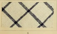 Picture 103 of 157 from The coal tar colours of Farbwerke vorm. Meister Lucius & Brüning : Hoechst on Main : and their application in dyeing cotton and other vegetable fibres (1907), leaf 88