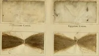 Picture 111 of 157 from The coal tar colours of Farbwerke vorm. Meister Lucius & Brüning : Hoechst on Main : and their application in dyeing cotton and other vegetable fibres (1907), leaf 96