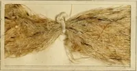 An illustration from The coal tar colours of Farbwerke vorm. Meister Lucius & Brüning : Hoechst on Main : and their application in dyeing cotton and other vegetable fibres (1907)