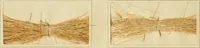 Picture 116 of 157 from The coal tar colours of Farbwerke vorm. Meister Lucius & Brüning : Hoechst on Main : and their application in dyeing cotton and other vegetable fibres (1907), leaf 97