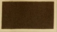An illustration from The coal tar colours of Farbwerke vorm. Meister Lucius & Brüning, Hoechst on Main, Germany and their application in wool dyeing (1910)
