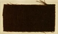 An illustration from The coal tar colours of Farbwerke vorm. Meister Lucius & Brüning, Hoechst on Main, Germany and their application in wool dyeing (1910)